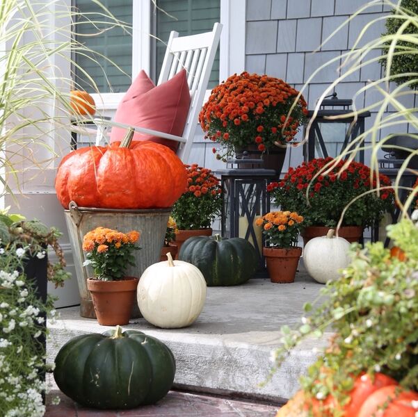 fall-porch-mums-and-pumpkin-decor